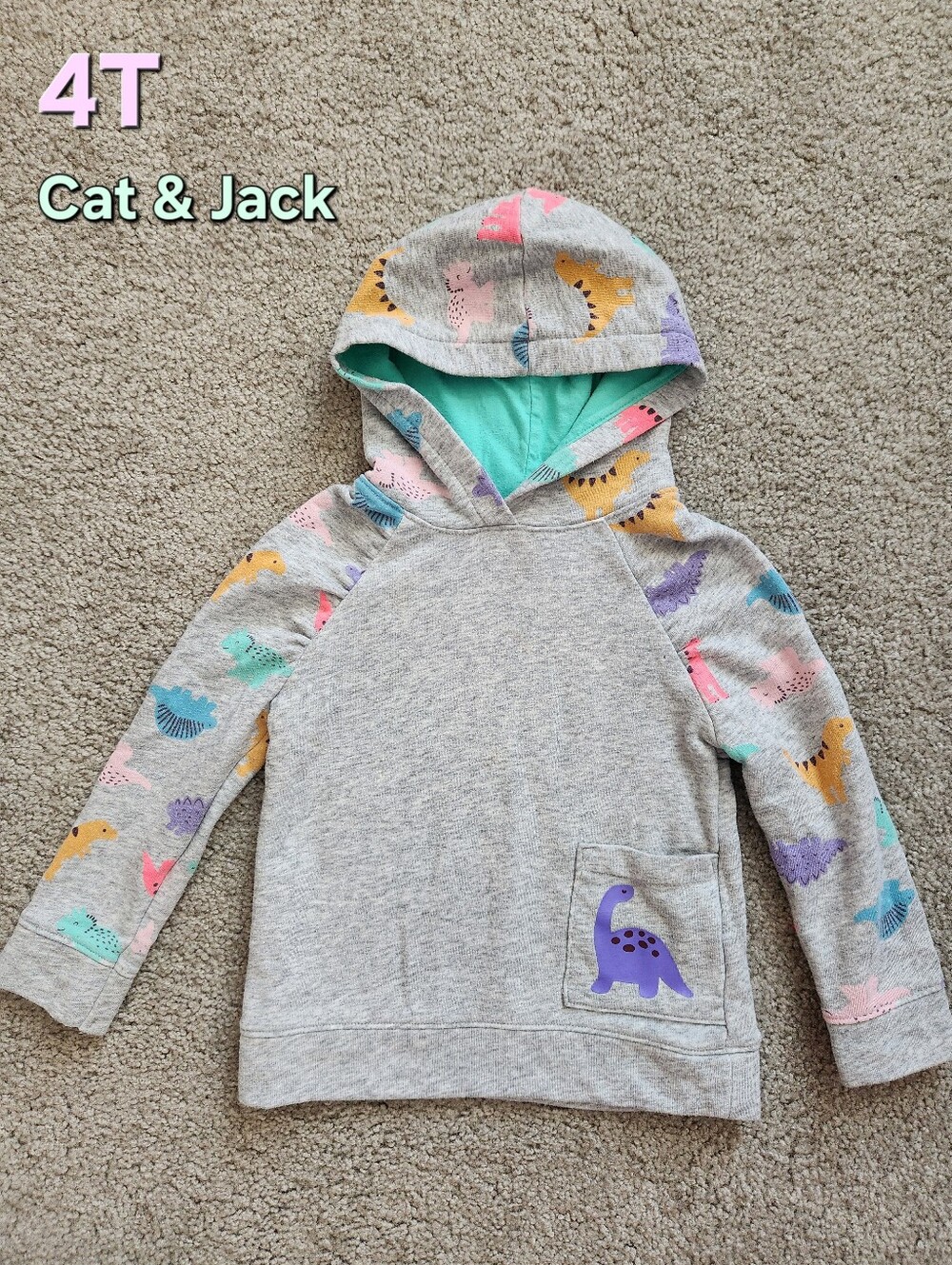 Cat & Jack Gray Pullover Hoodie with Colorful Dinosaur Print
